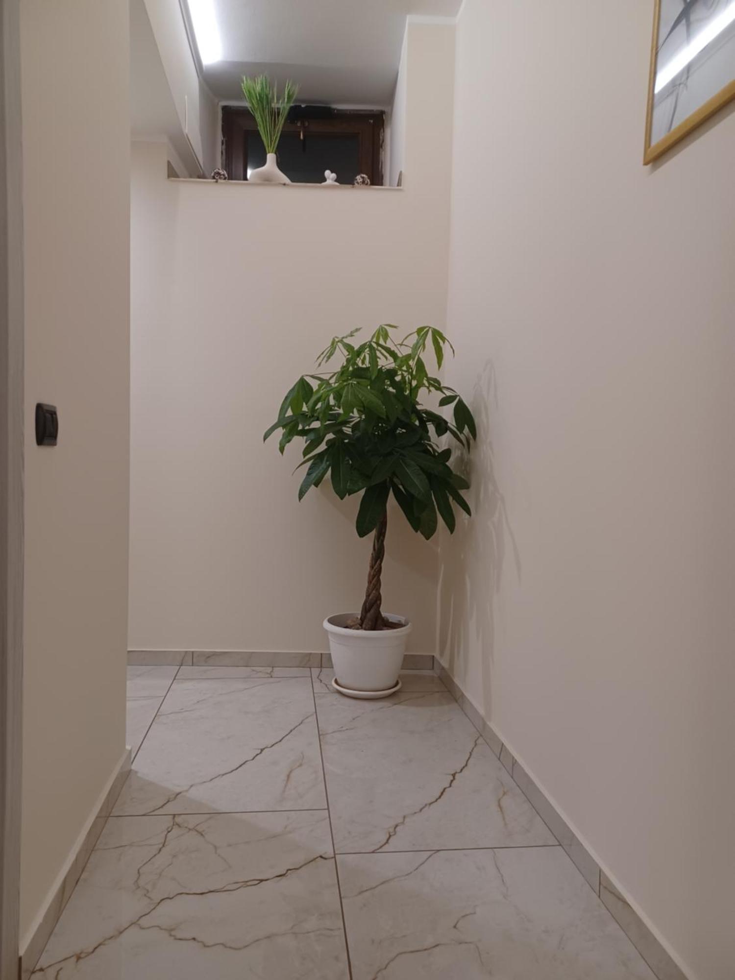 Soleil Ξενοδοχείο Nicosia Εξωτερικό φωτογραφία